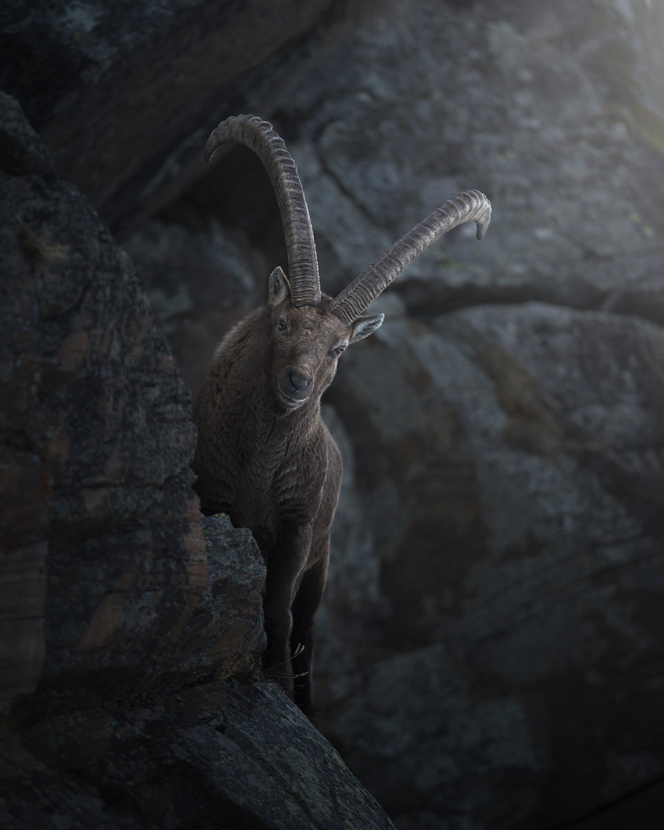 _33A0406-copia.jpg-2