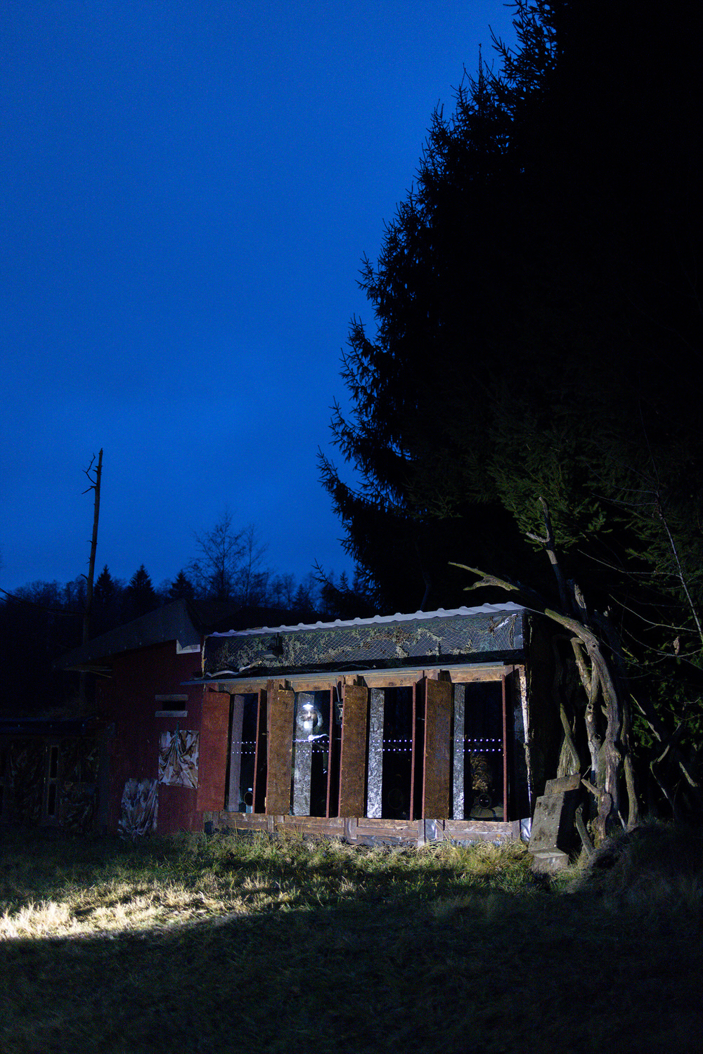 Poland-wildlife-tour