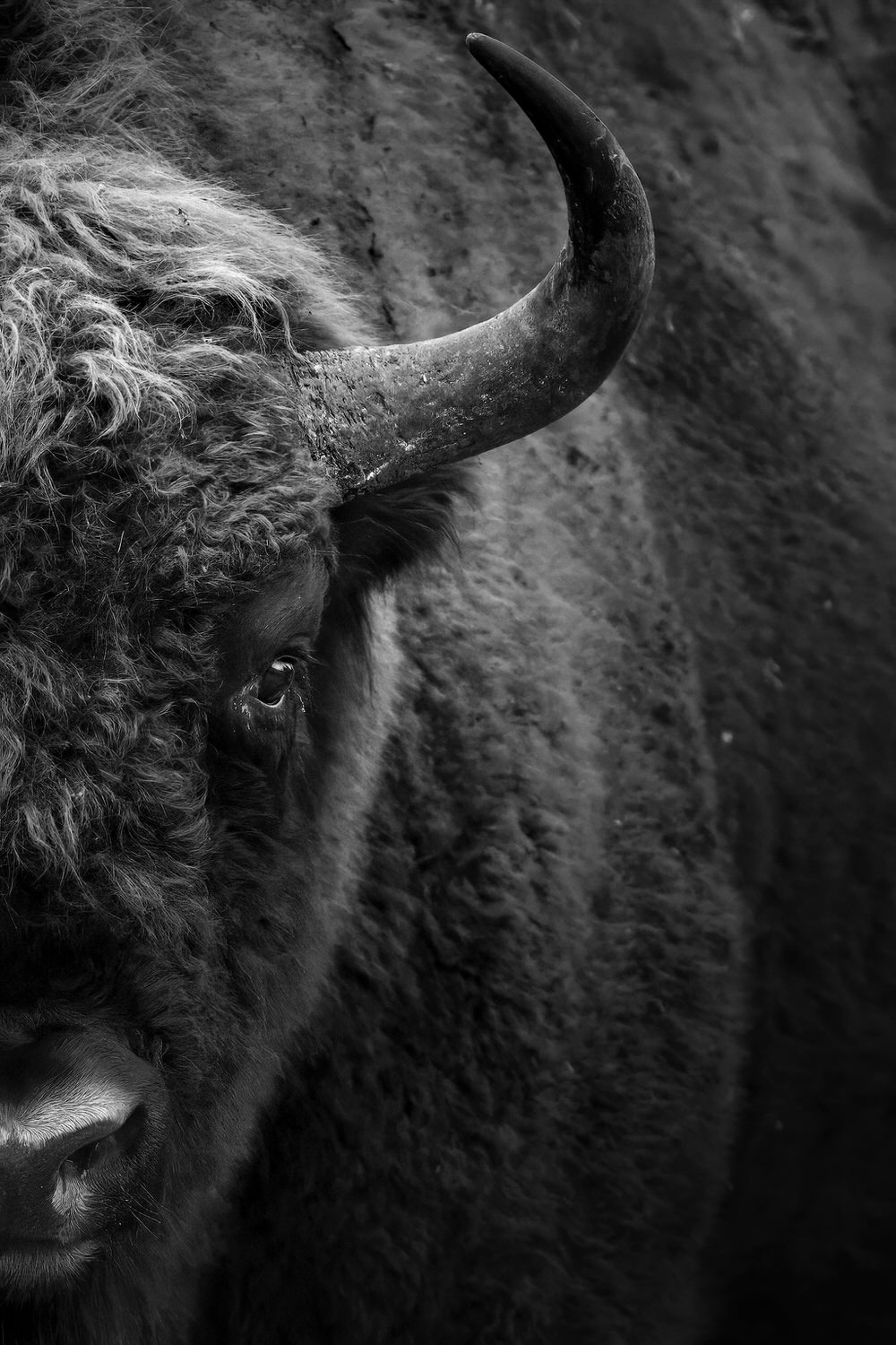 Poland-wildlife-tour