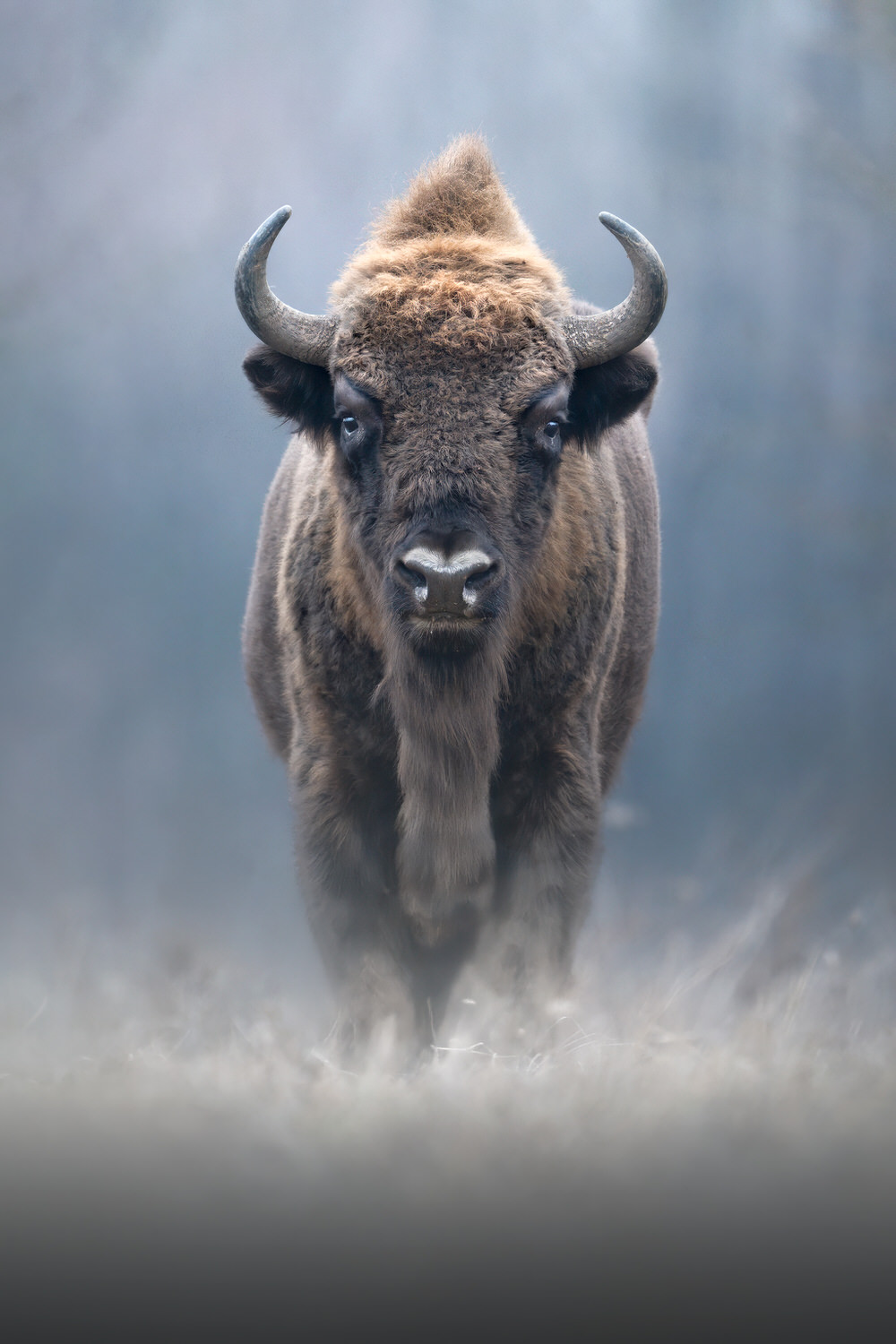 Poland-wildlife-tour