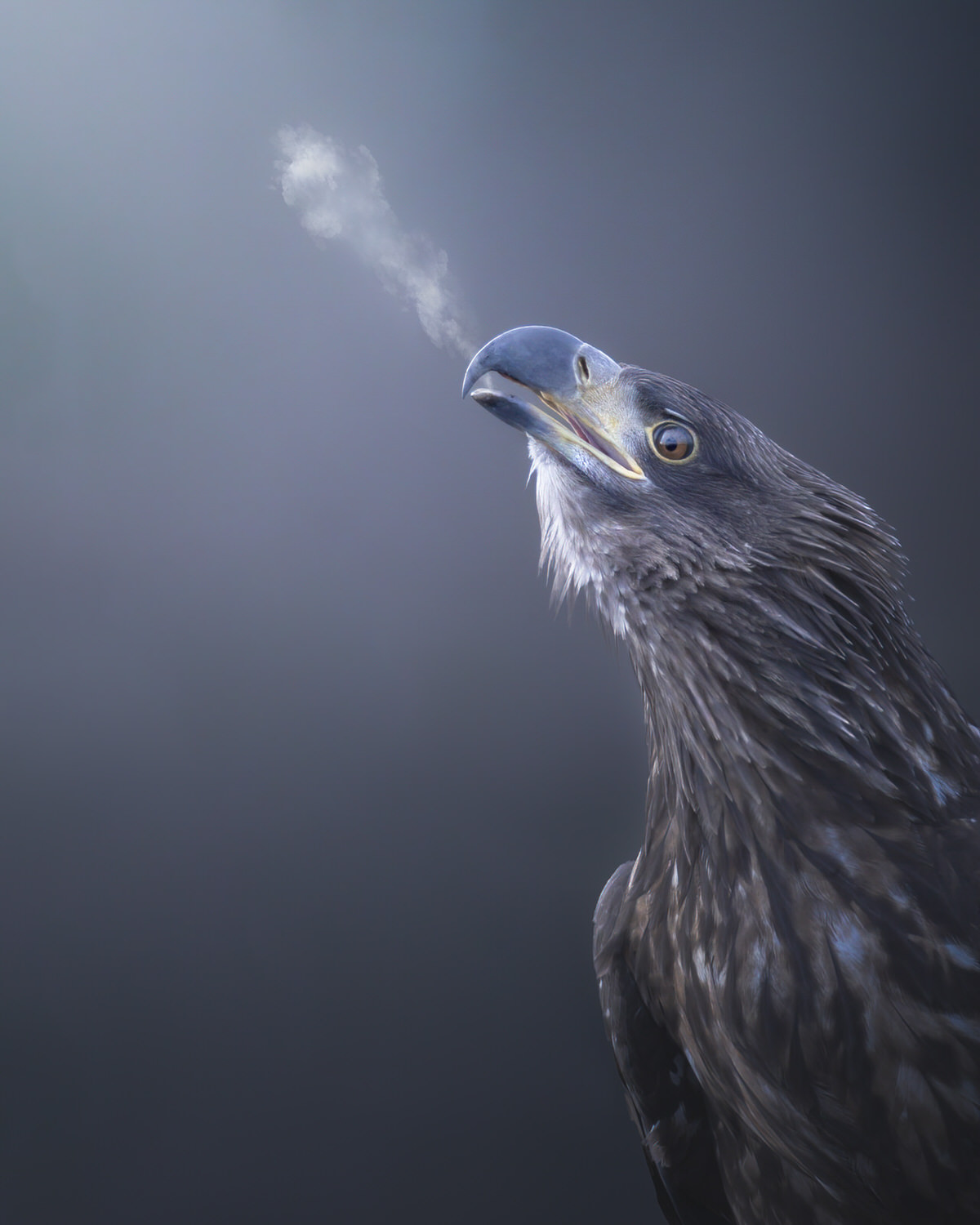 Poland-wildlife-tour