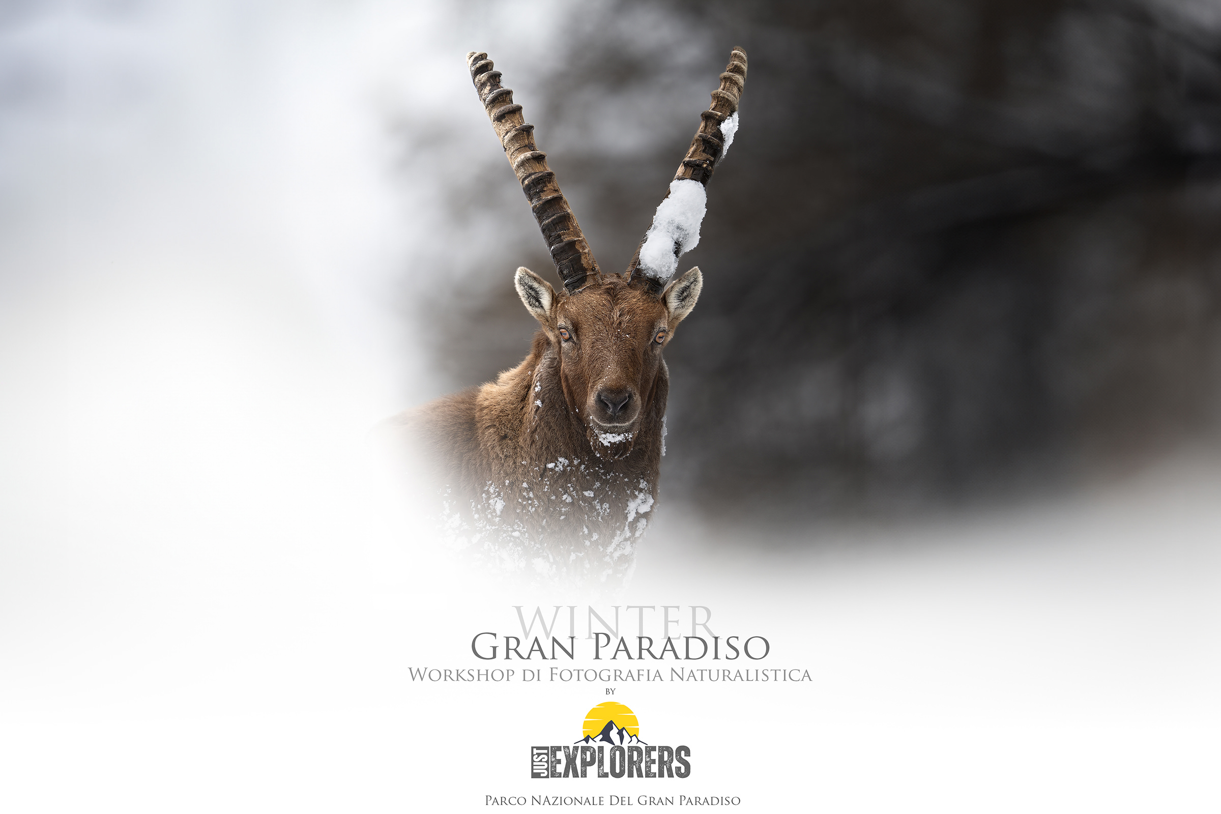workshop-di-fotografia-nel-parco-nazionale-del-gran-paradiso