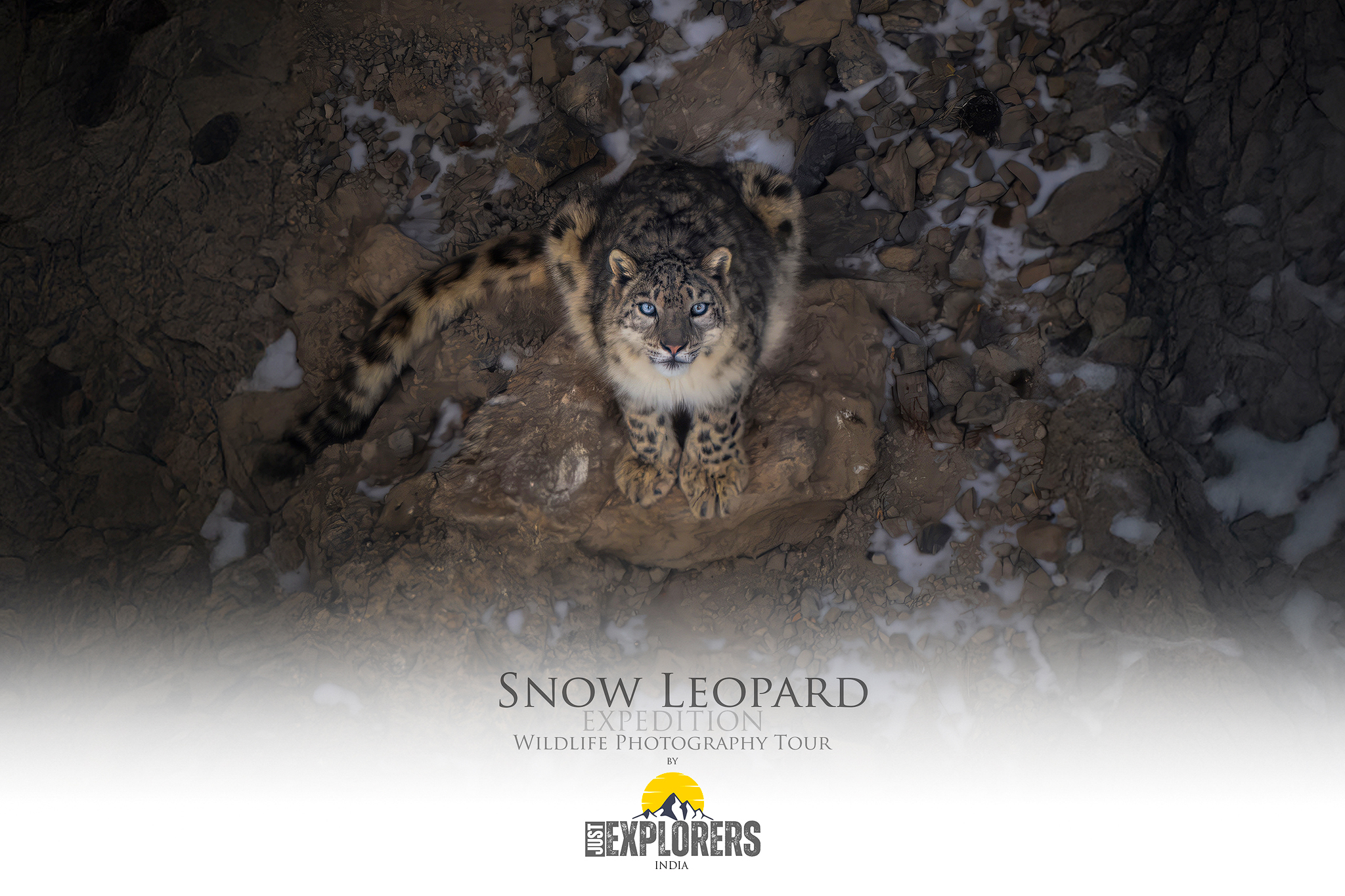 snow-leopard-expedition-spiti-valley