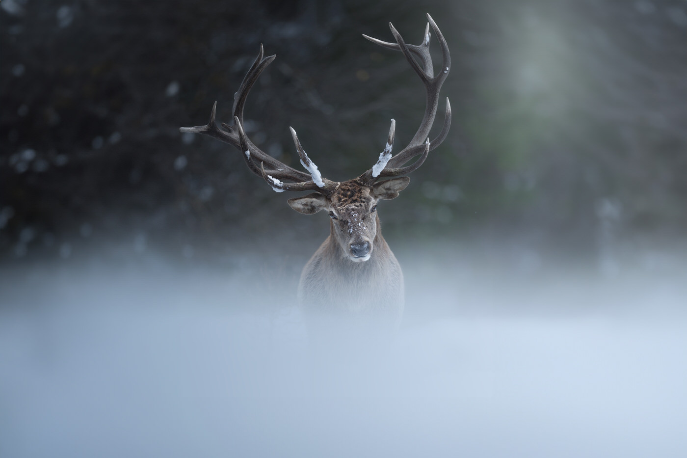 italian-national-parks-wildlife-photography-workshop-italy-abruzzo