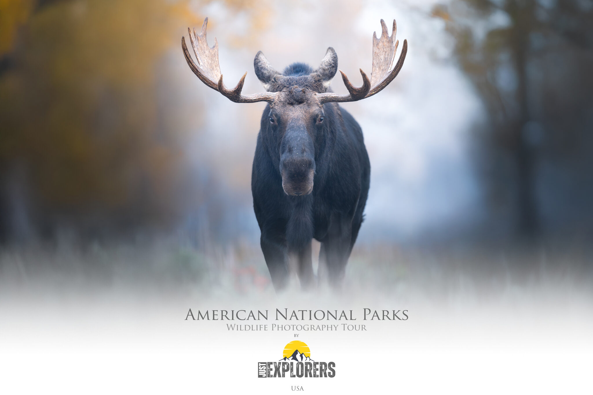 Yellowstone & Grand Teton Autumn JustExplorers