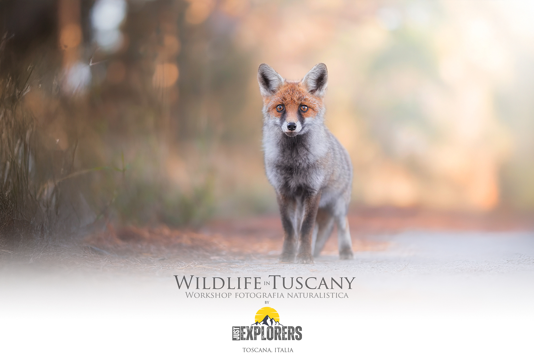 workshop-fotografia-naturalistica-toscana-wildlife-in-tuscany