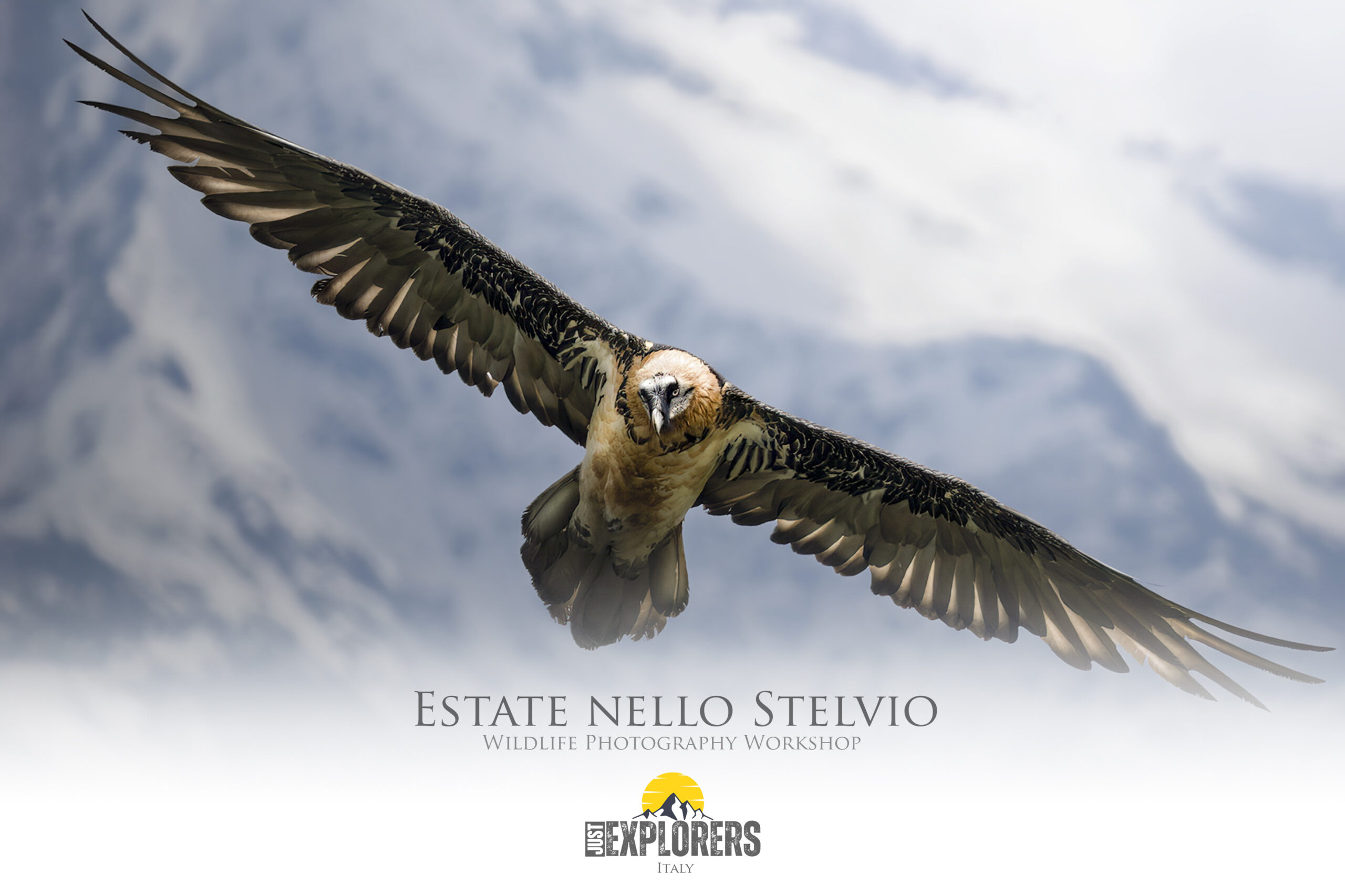 workshop-di-fotografia-naturalistica-estate-nello-stelvio