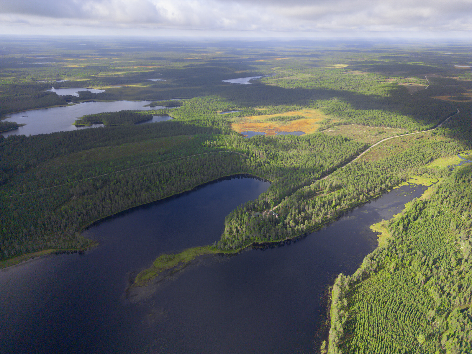 wild-finland-workshop-fotografia-naturalistica-wildlife-photography-workshop