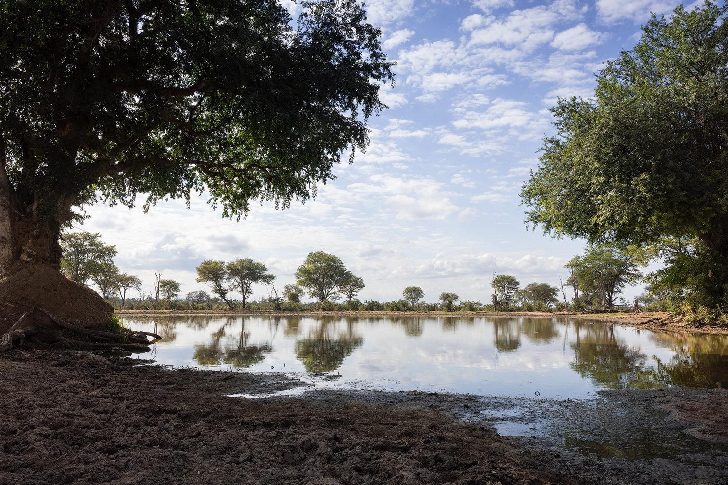 lower-zambesi-national-park-photographic-safari