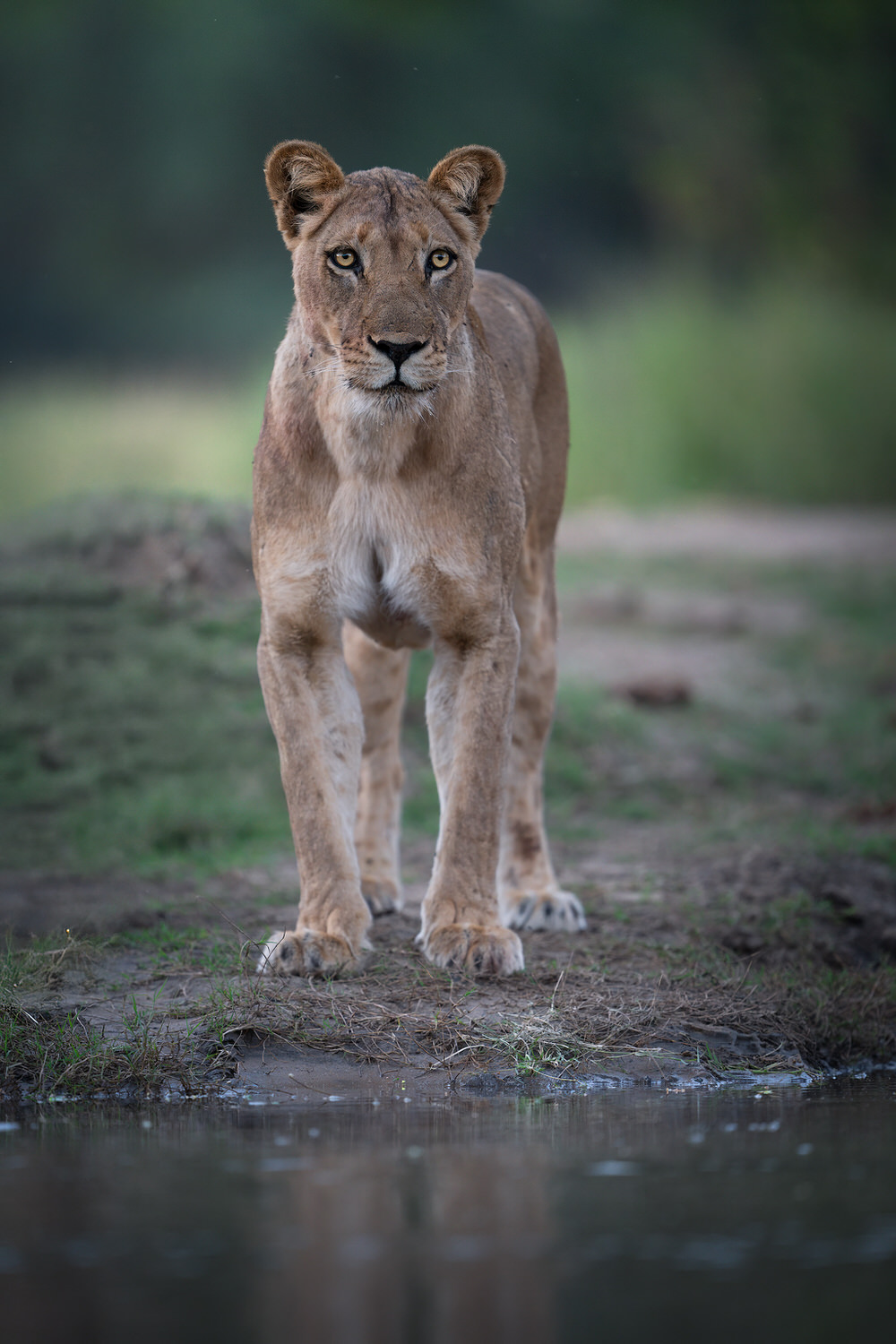 _DSC8140-sharpened