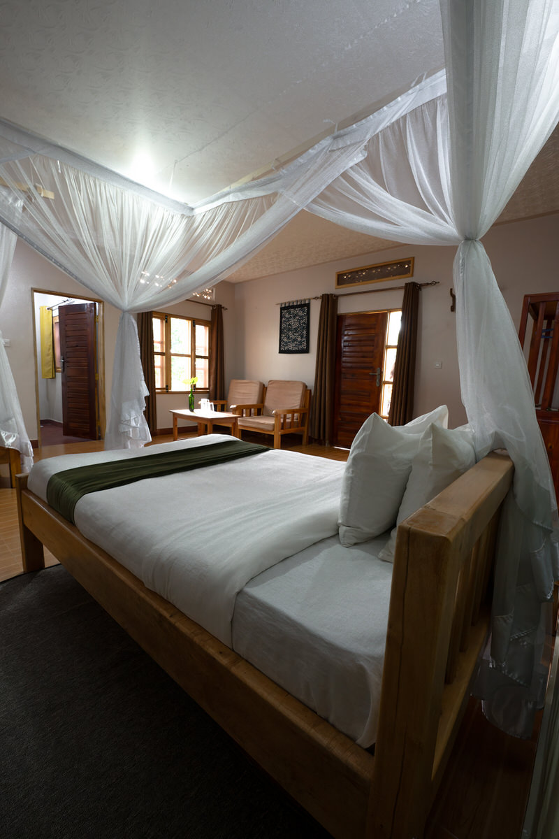 uganda-primate-shoebill-safari-tour-gorilla-chimps