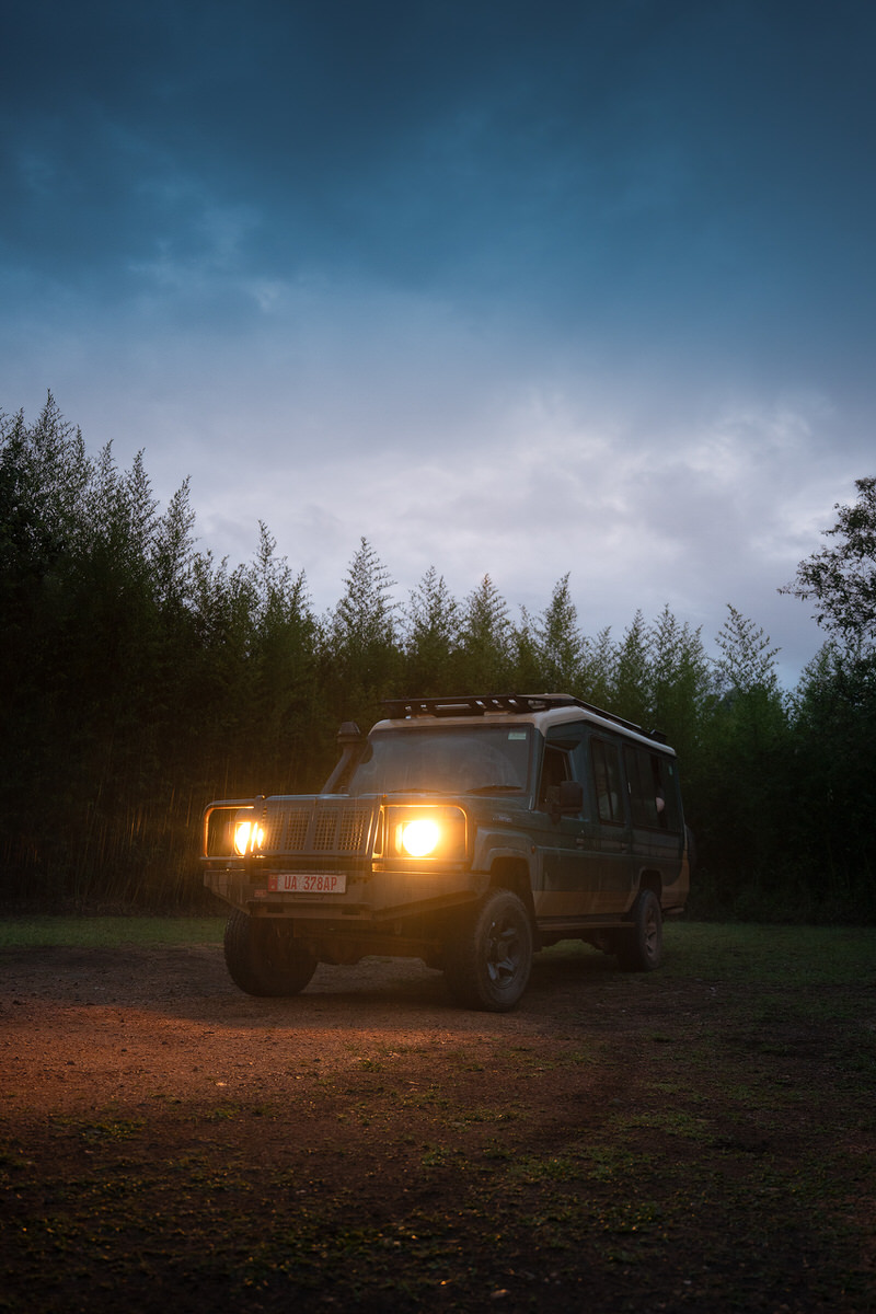 uganda-primate-shoebill-safari-tour-gorilla-chimps