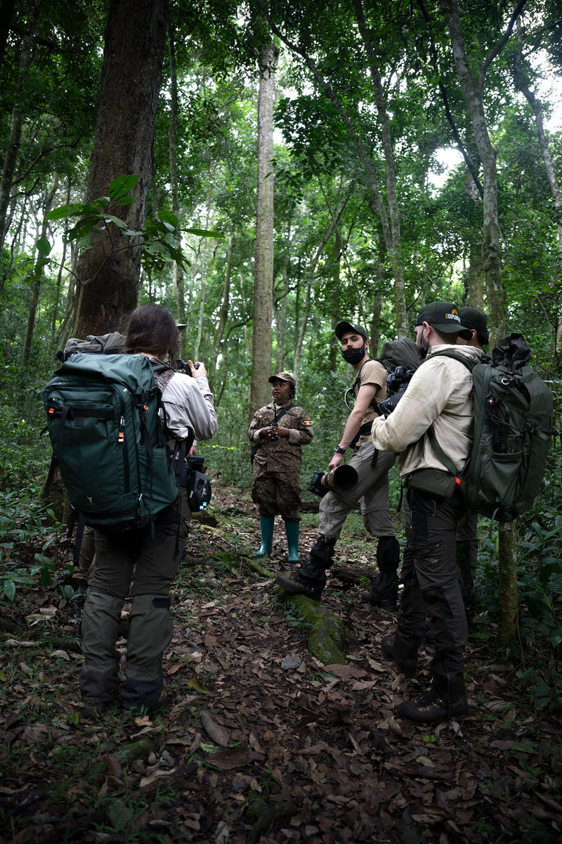 uganda-primate-shoebill-safari-tour-gorilla-chimps