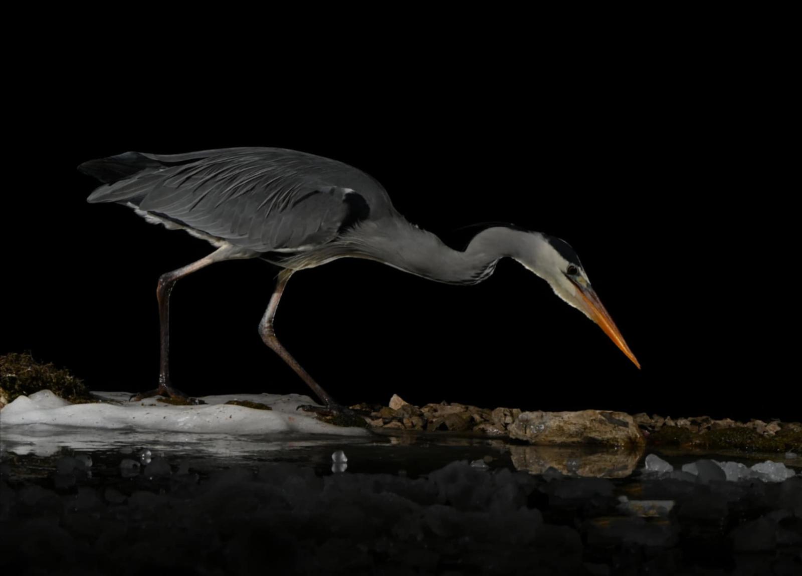 5127af32-50fa-4d44-b143-319f56954c36