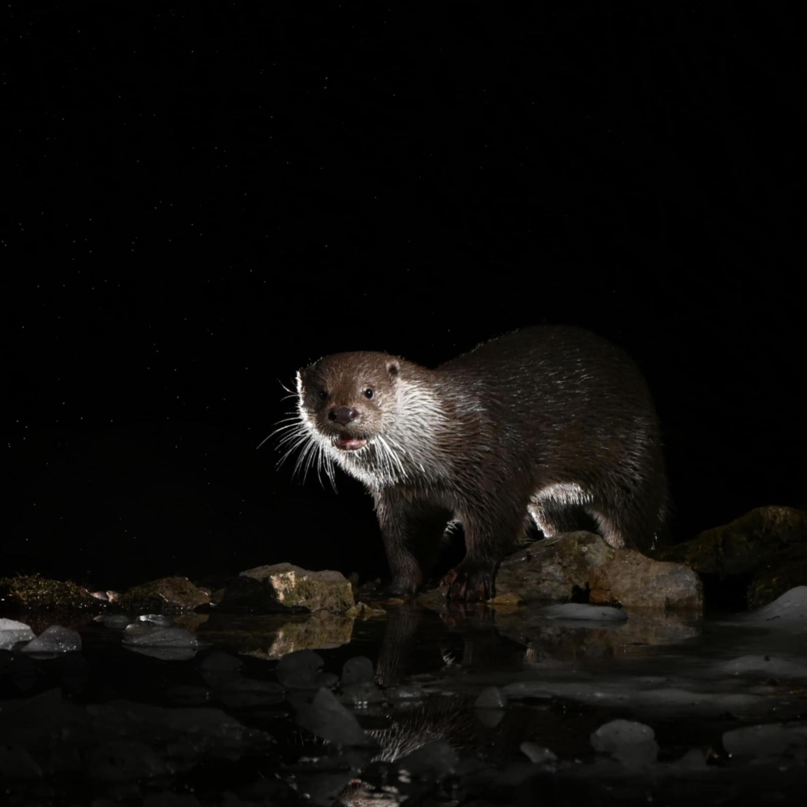 d02323c5-10cb-4262-b436-1256b62b8fe5