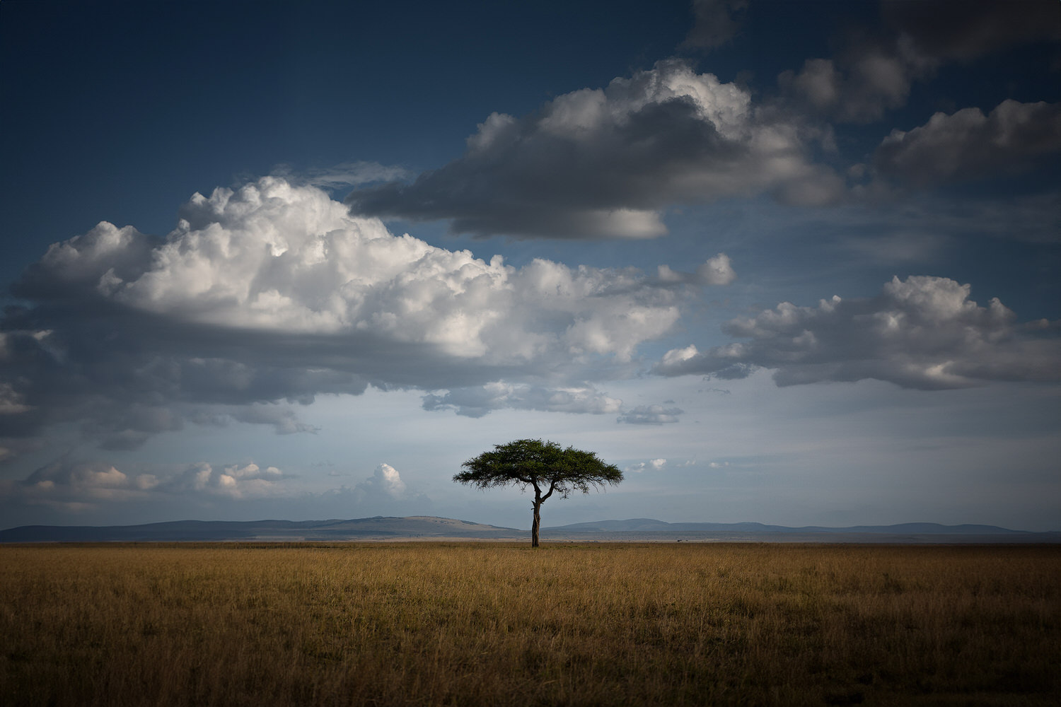 2_DSC8038-sharpened-sharpened-1