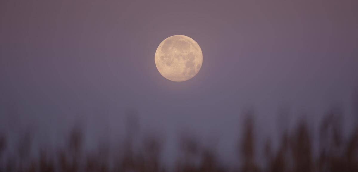 Moon-Tuscany-workshop-nature-photography-introductory