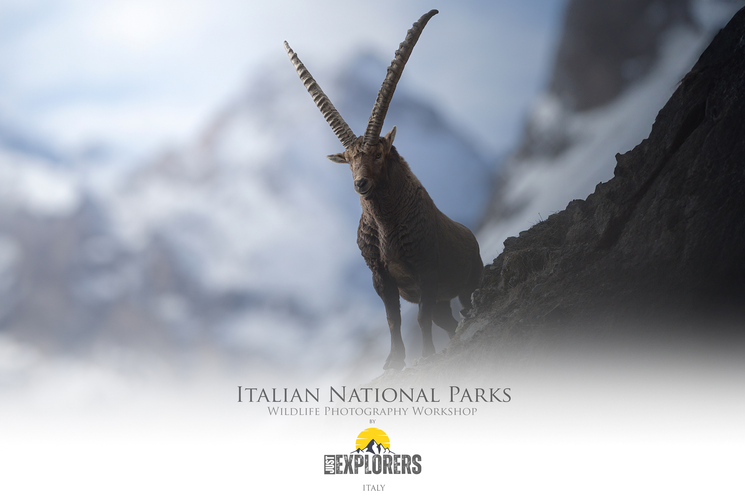 Italian-national-parks-wildlife-photography-workshop-abruzzo-national-park-gran-paradiso-national-park-sibillini-national-park