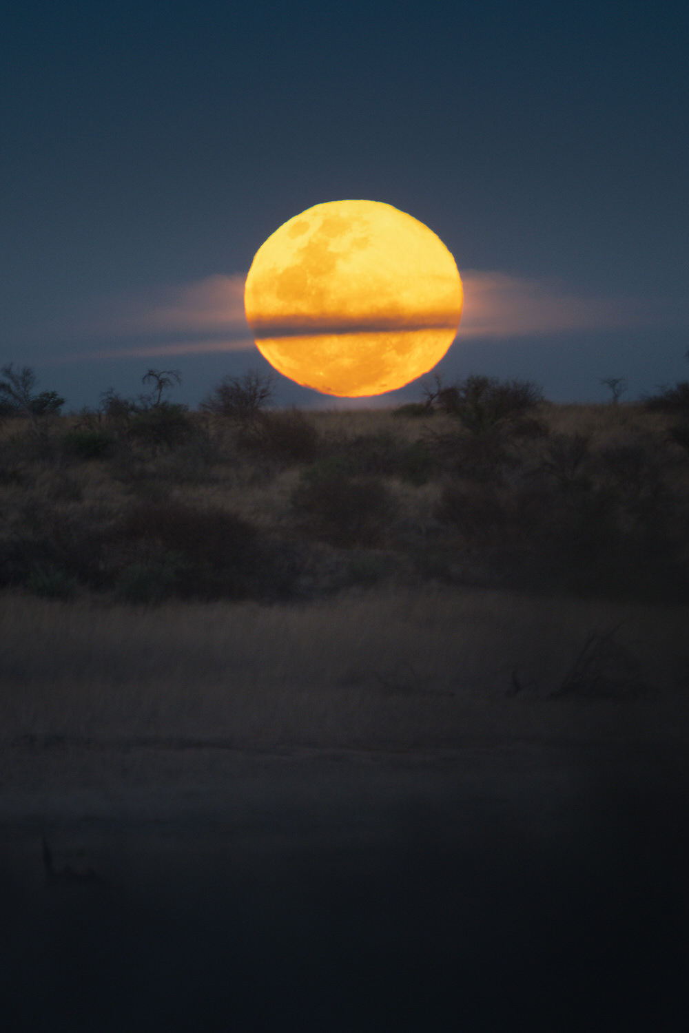 Kgalagadi Transfrontier Park, South Africa, Botsawa, Photographic Safari