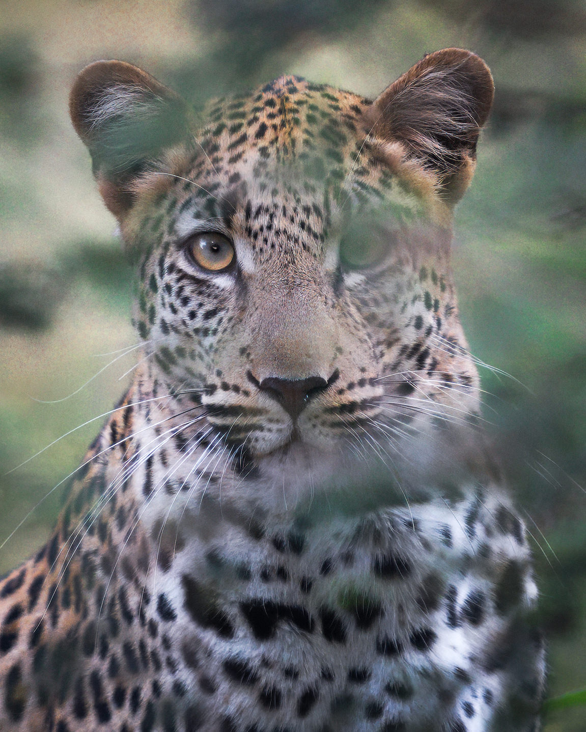 _DSC3508-2-sharpened-1