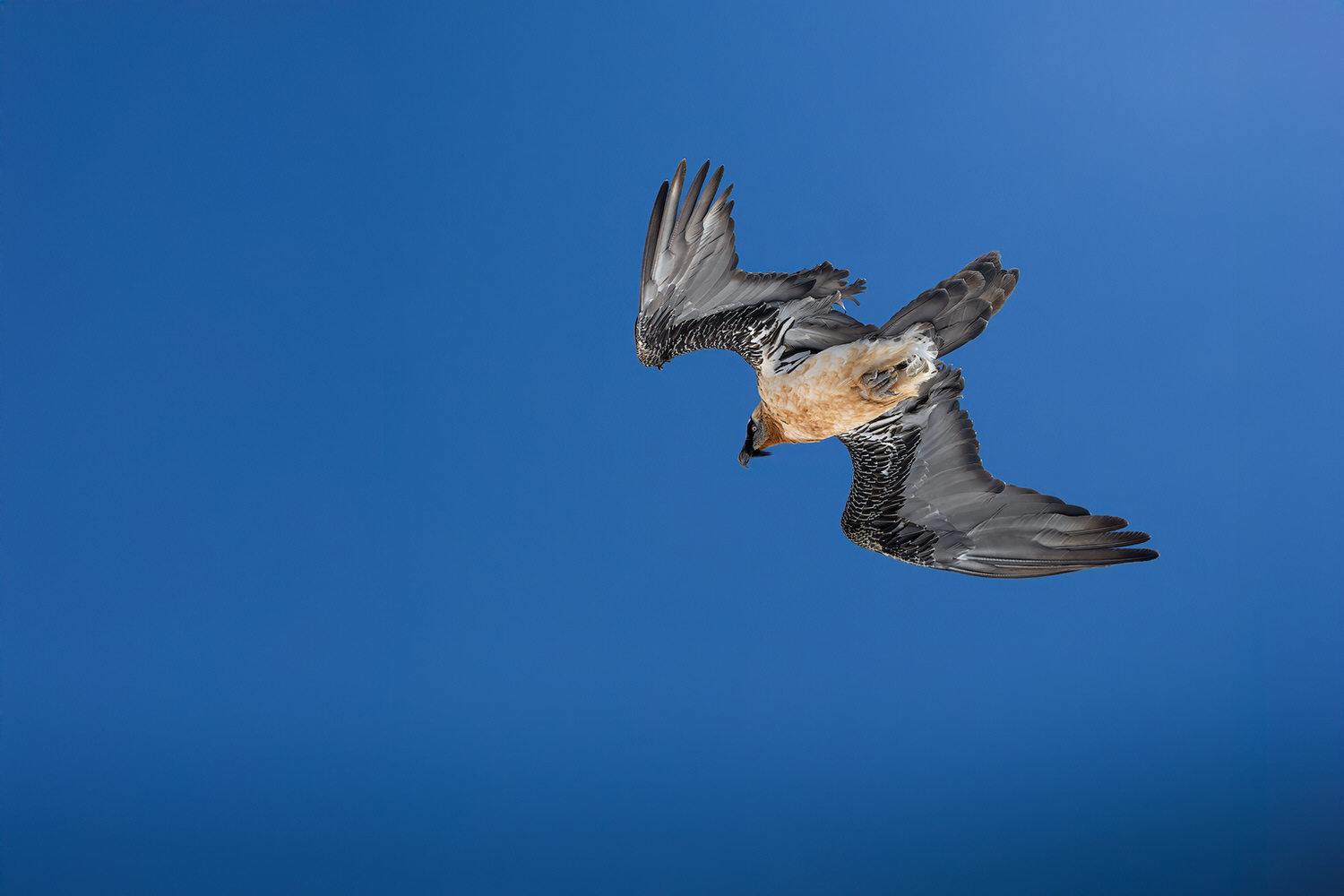 tour-fotografico-winter-switzerland-gipeto