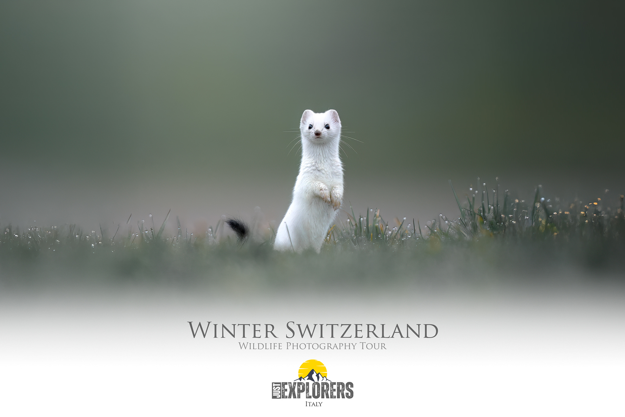 locandina-winter-switzerland