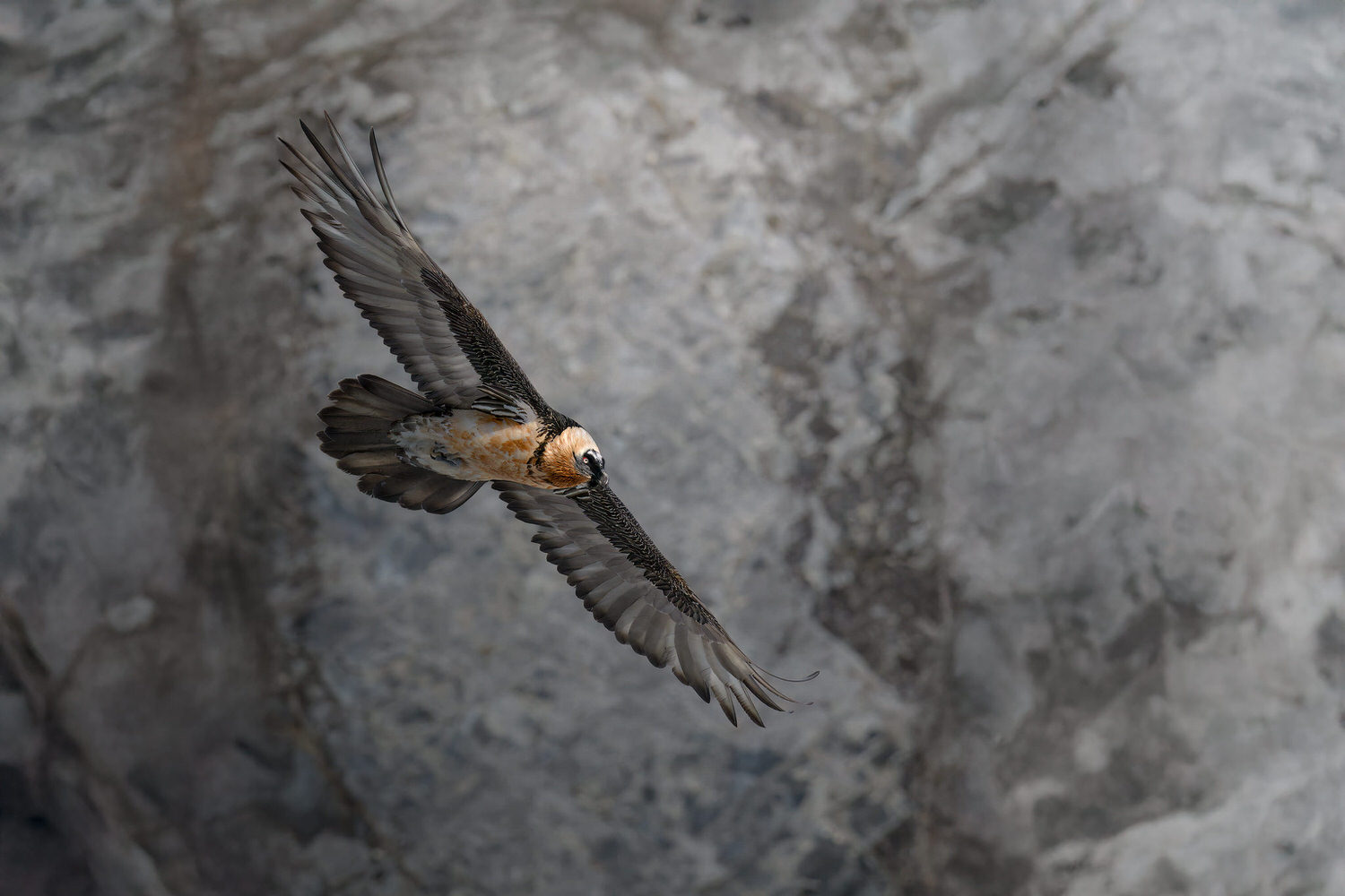 tour-fotografico-winter-switzerland-gipeto