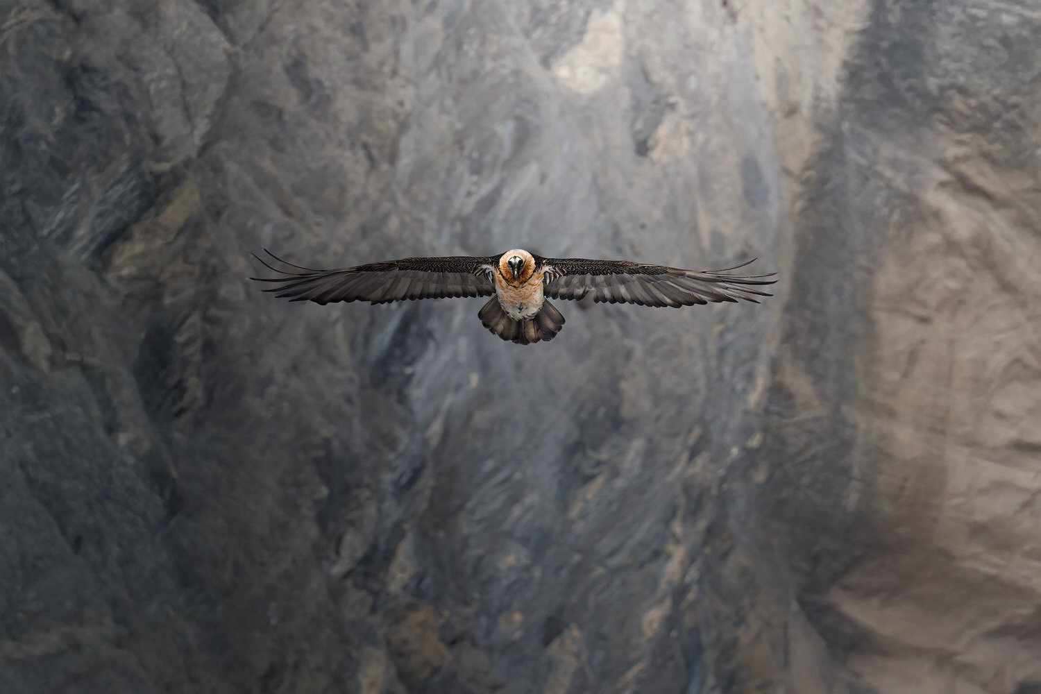 tour-fotografico-winter-switzerland-gipeto