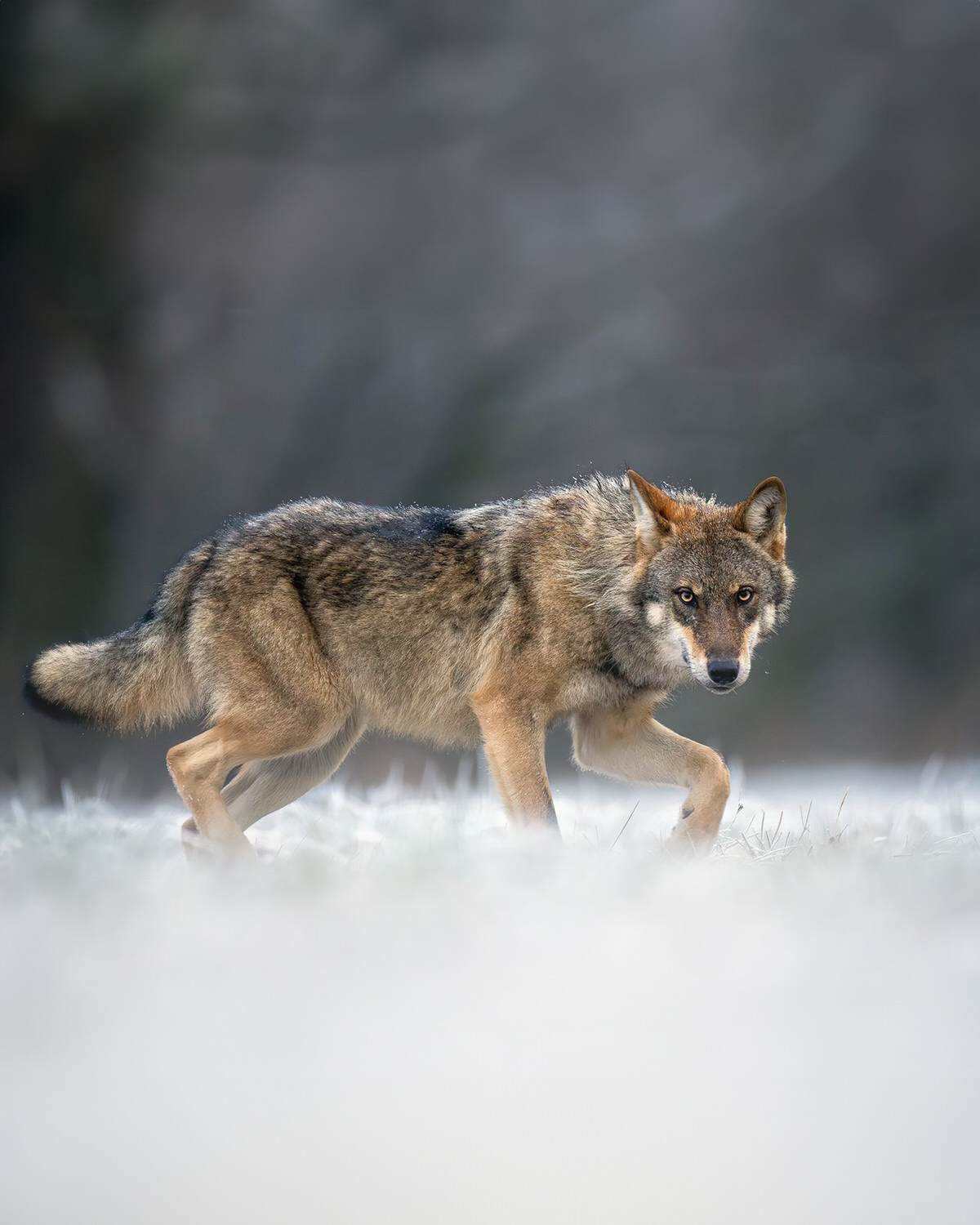 2WhatsApp-Image-2026-01-06-at-16.19.53-(1)