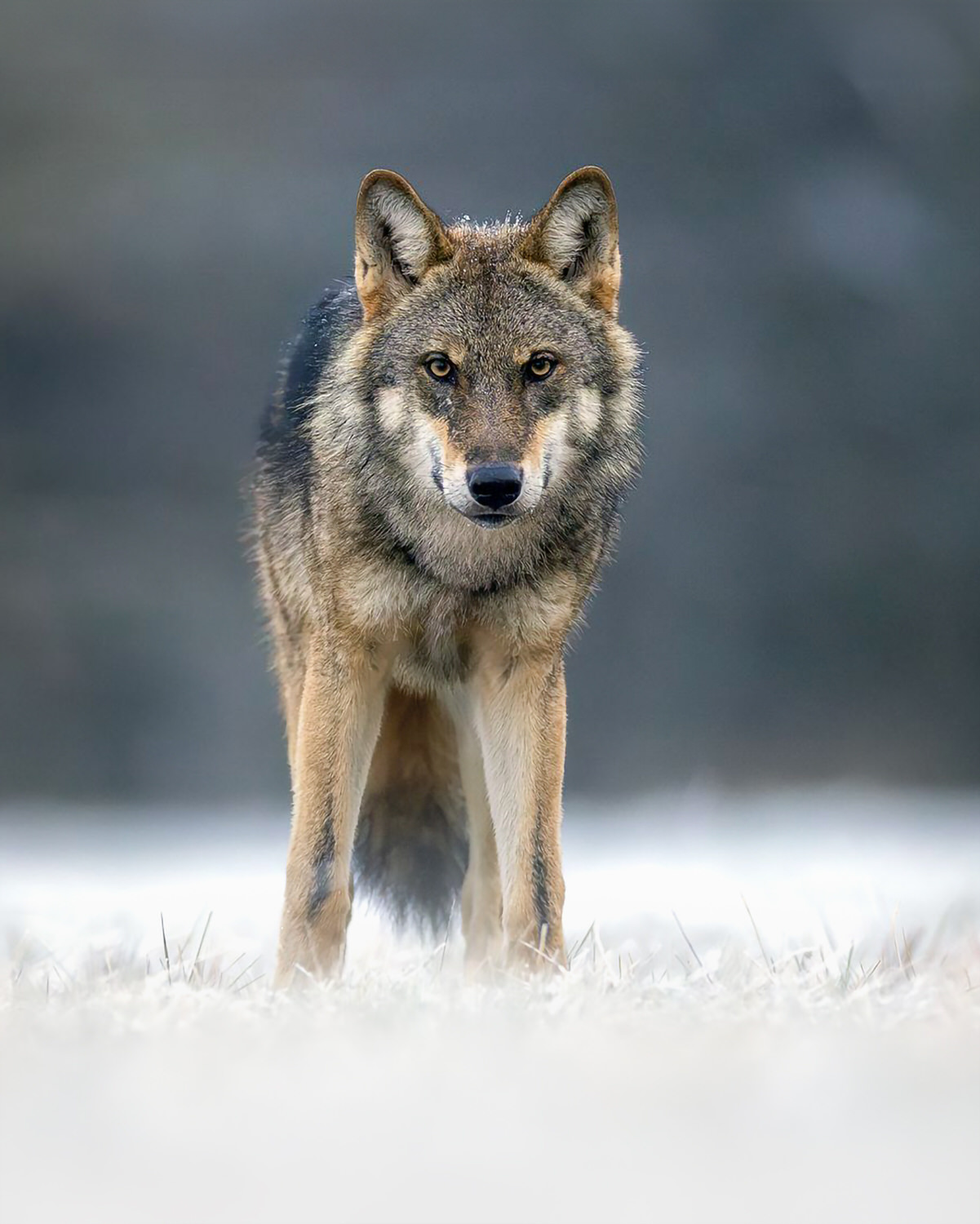 2WhatsApp-Image-2026-01-06-at-16.19.53-(2)