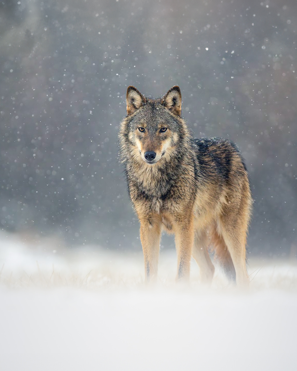 2WhatsApp-Image-2026-01-06-at-16.19.53