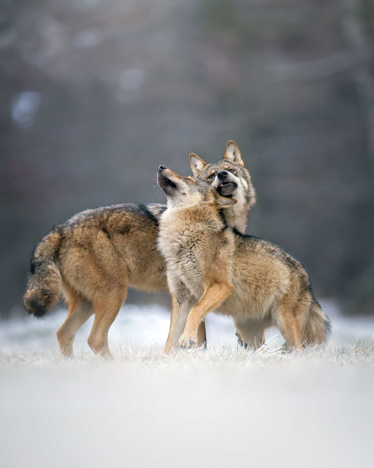 2WhatsApp-Image-2026-01-06-at-16.19.54