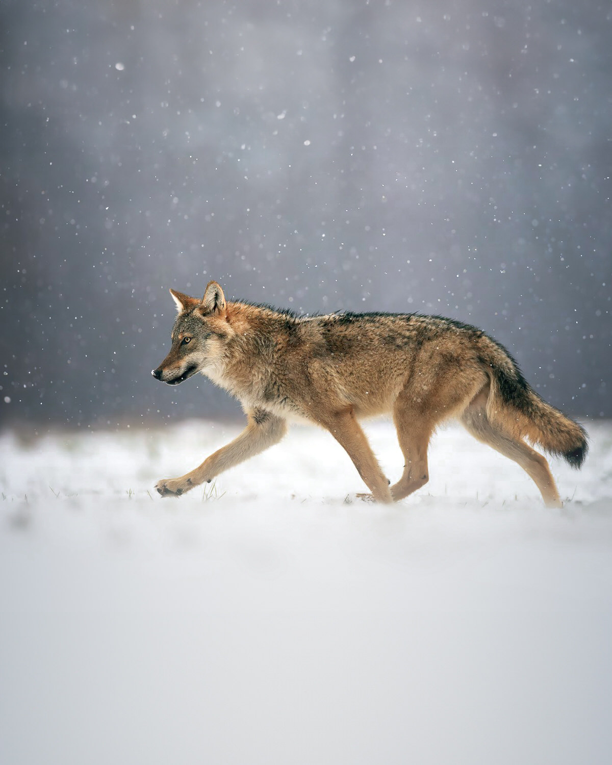 2WhatsApp-Image-2026-01-06-at-16.19.55-(2)