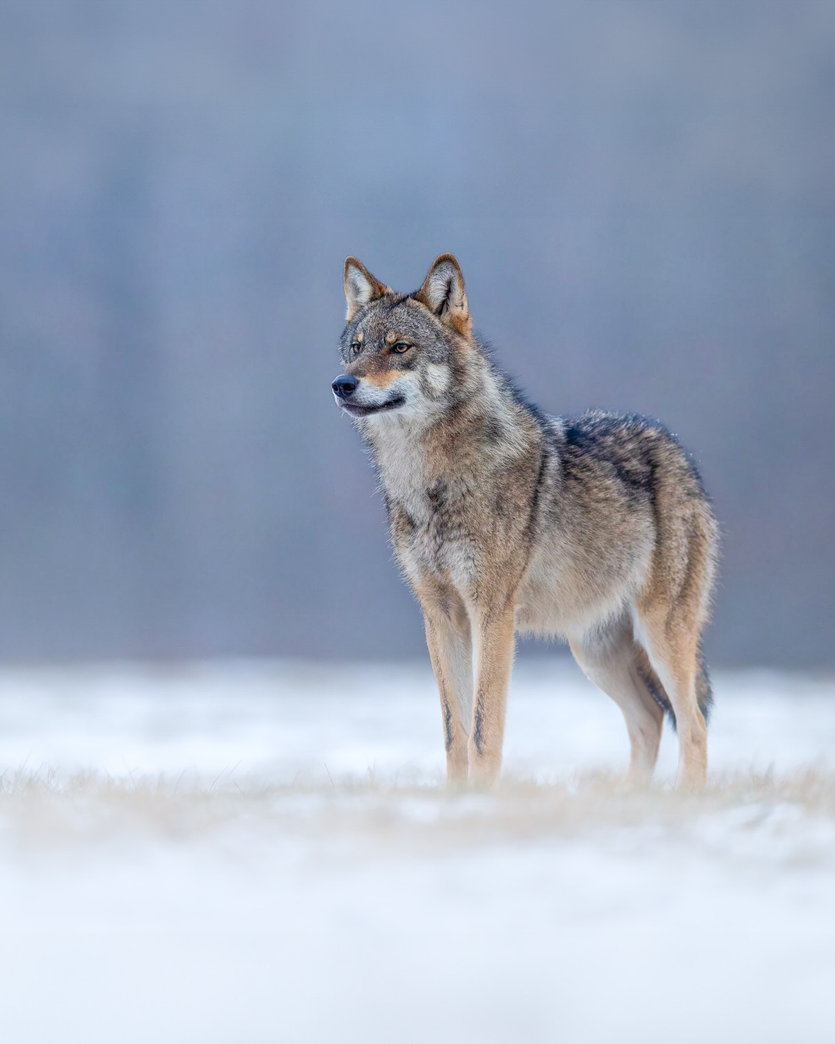 2WhatsApp-Image-2026-01-06-at-16.19