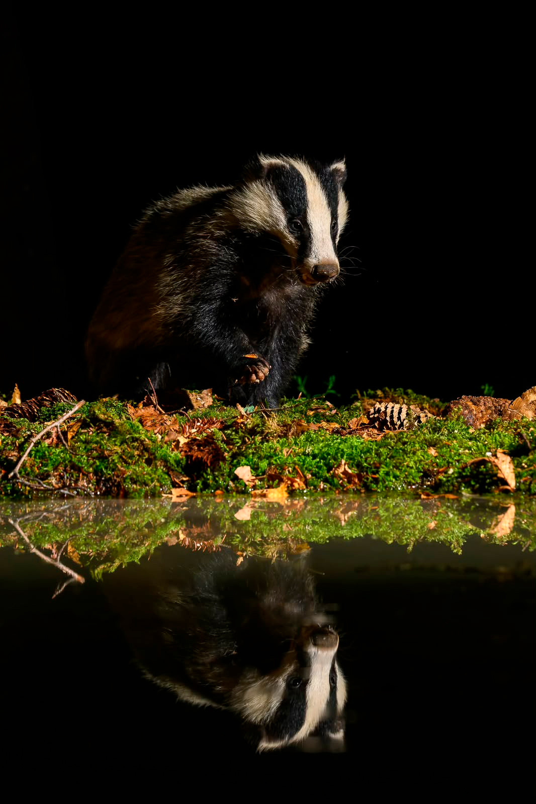 Tasso-workshop-slovenia_4