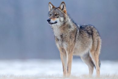 2WhatsApp-Image-2026-01-06-at-16.19