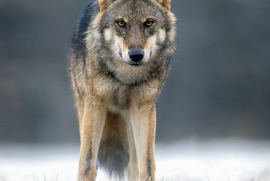 2WhatsApp-Image-2026-01-06-at-16.19.53-(2)