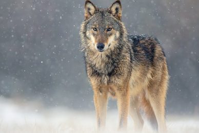 2WhatsApp-Image-2026-01-06-at-16.19.53