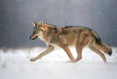 2WhatsApp-Image-2026-01-06-at-16.19.55-(2)