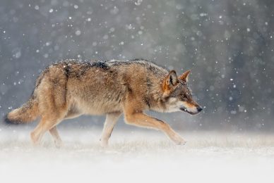 2WhatsApp-Image-2026-01-06-at-16.19.56