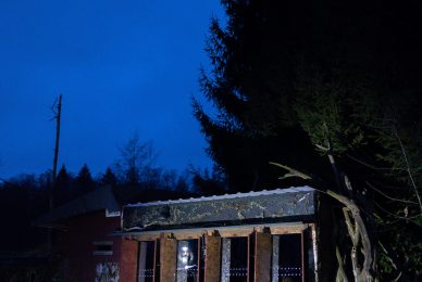 Poland-wildlife-tour