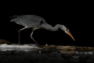 5127af32-50fa-4d44-b143-319f56954c36