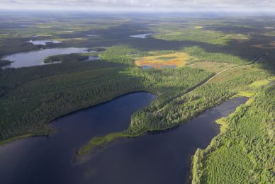 wild-finland-workshop-fotografia-naturalistica-wildlife-photography-workshop