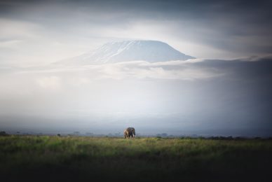 _DSC1519-sharpened-sharpened