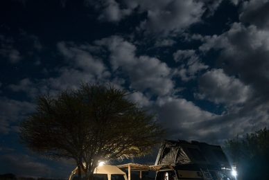 Kgalagadi Transfrontier Park, South Africa, Botsawa, Photographic Safari