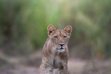 _DSC3272-sharpened