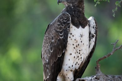_DSC5790-sharpened