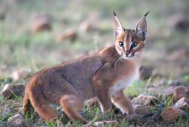 _DSC7038-2-sharpened