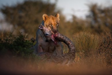 _DSC7573-sharpened-1