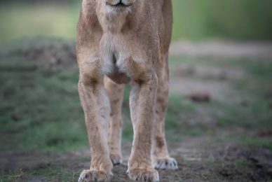 _DSC8140-sharpened